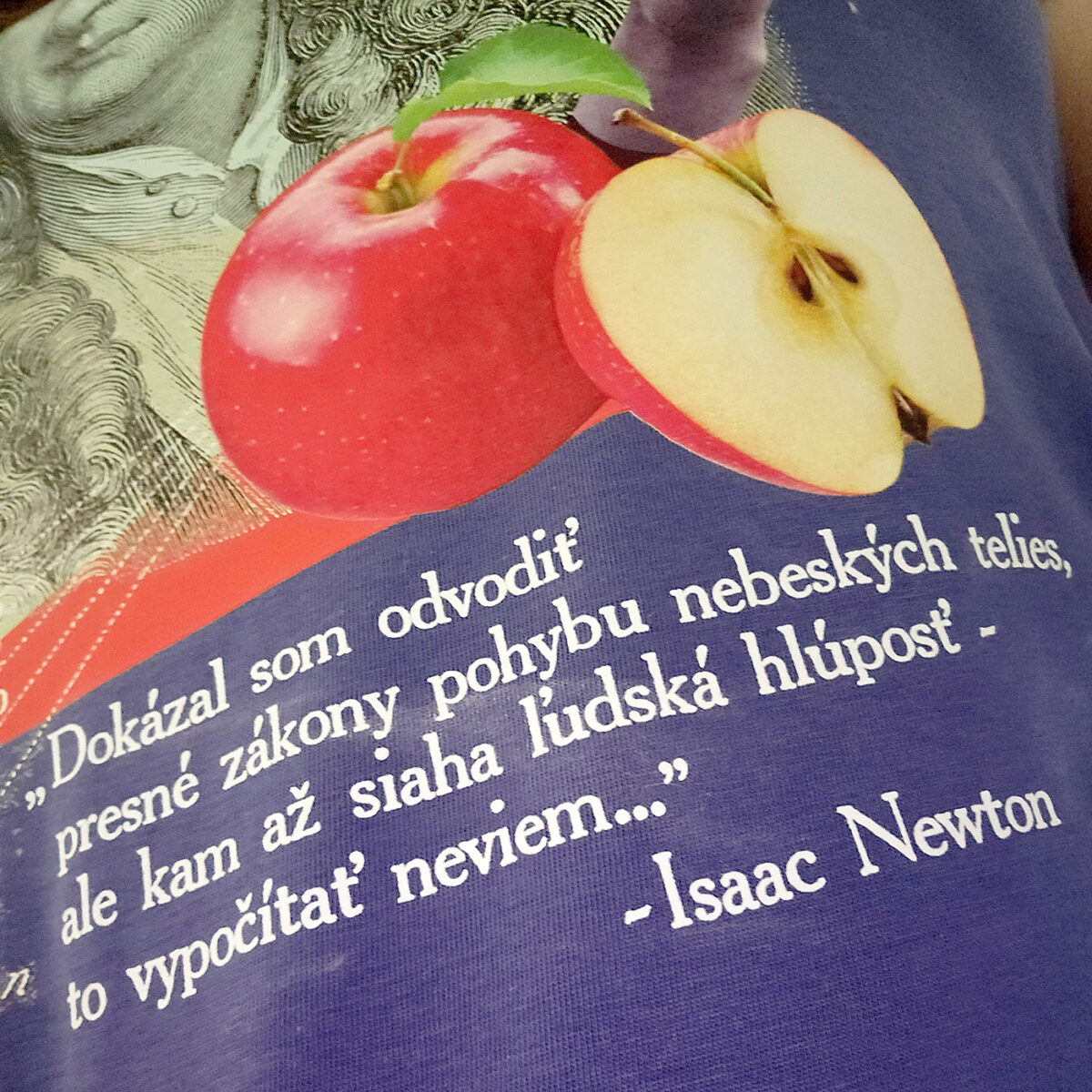 Dámske tričko Newton o ľudskej hlúposti - Image 4